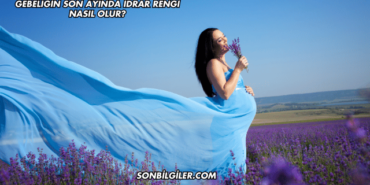 Gebeliğin Son Ayında İdrar Rengi Nasıl Olur?