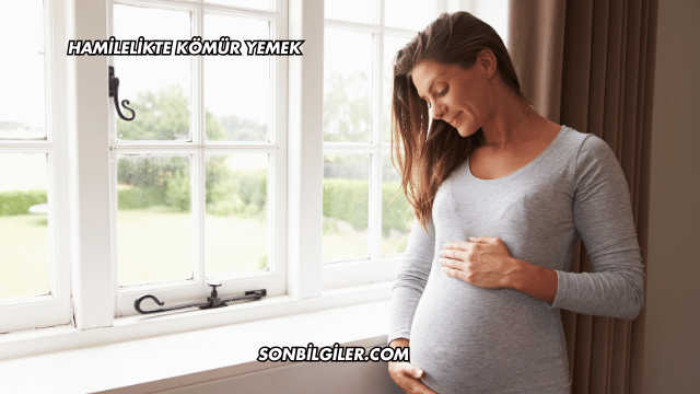 Hamilelikte Kömür Yemek