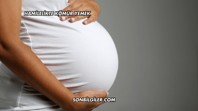 Hamilelikte Kömür Yemek