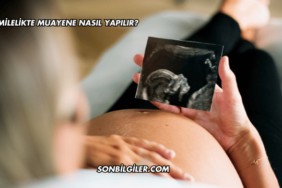 Hamilelikte Muayene Nasıl Yapılır?