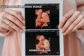 Hamilelikte Rahmin Aşağıda Olması