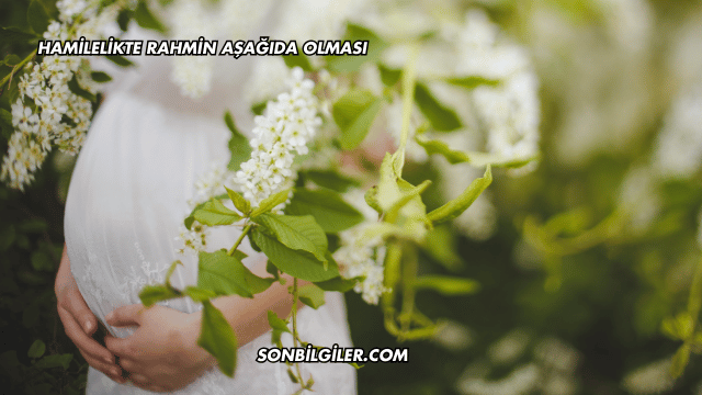 Hamilelikte Rahmin Aşağıda Olması