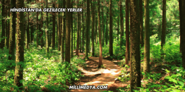 Hindistan'da Gezilecek Yerler