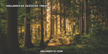 Hollanda'da Gezilecek Yerler