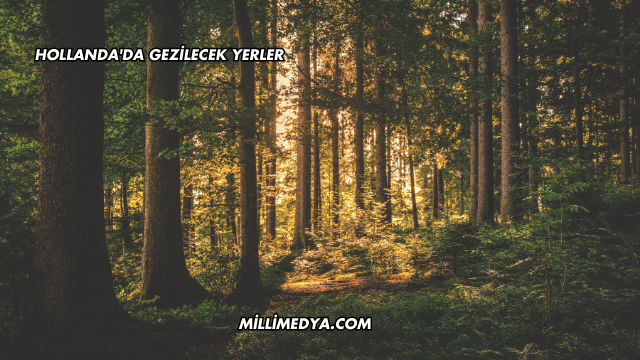 Hollanda'da Gezilecek Yerler