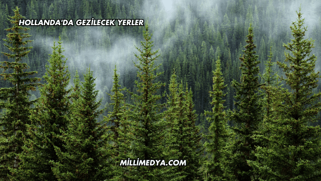 Hollanda'da Gezilecek Yerler