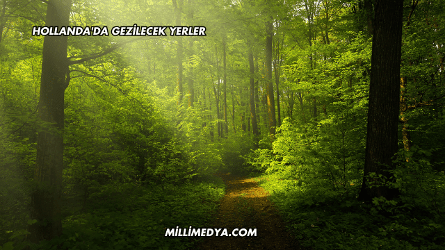 Hollanda'da Gezilecek Yerler