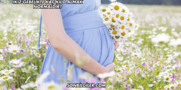 İkiz Gebelikte Kaç Kilo Almak Normaldir?