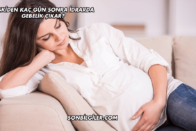 İlişkiden Kaç Gün Sonra İdrarda Gebelik Çıkar?