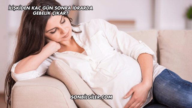 İlişkiden Kaç Gün Sonra İdrarda Gebelik Çıkar?