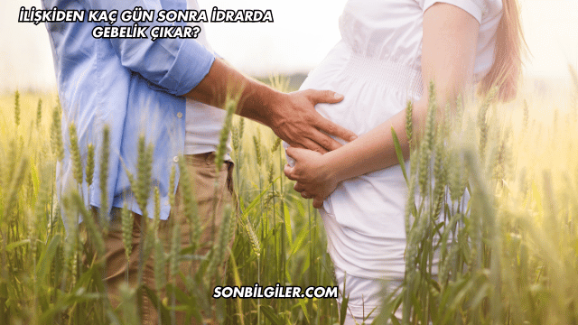 İlişkiden Kaç Gün Sonra İdrarda Gebelik Çıkar?
