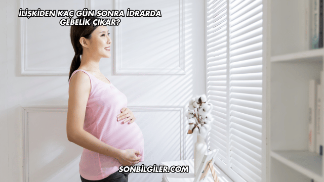 İlişkiden Kaç Gün Sonra İdrarda Gebelik Çıkar?