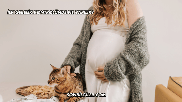 İlk Gebelik Kontrolünde Ne Yapılır?