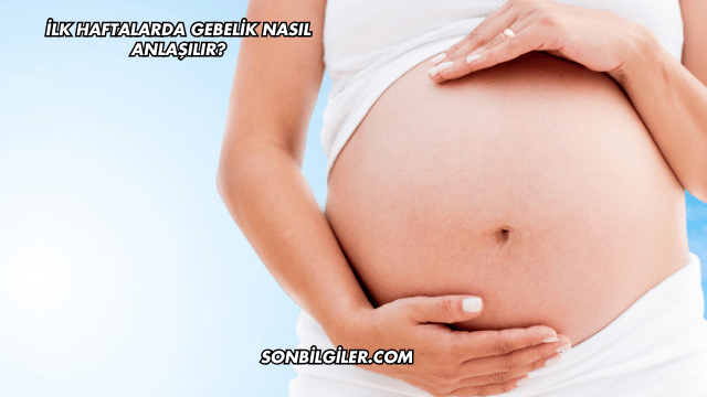 İlk Haftalarda Gebelik Nasıl Anlaşılır?