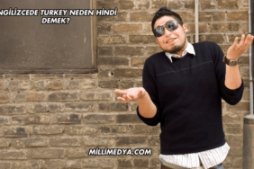 İngilizcede Turkey Neden Hindi Demek?