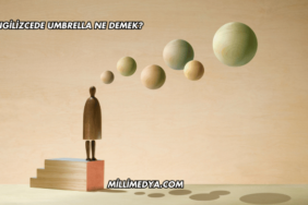 İngilizcede Umbrella Ne Demek?