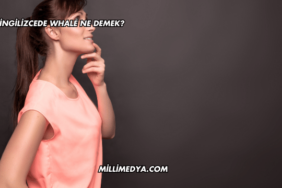 İngilizcede Whale Ne Demek?