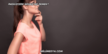 İngilizcede Whale Ne Demek?