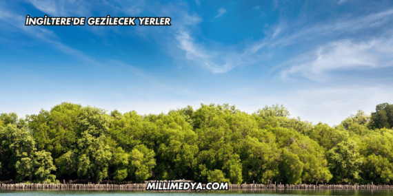 İngiltere'de Gezilecek Yerler