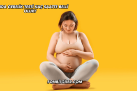 Kanda Gebelik Testi Kaç Saatte Belli Olur?