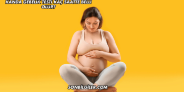 Kanda Gebelik Testi Kaç Saatte Belli Olur?