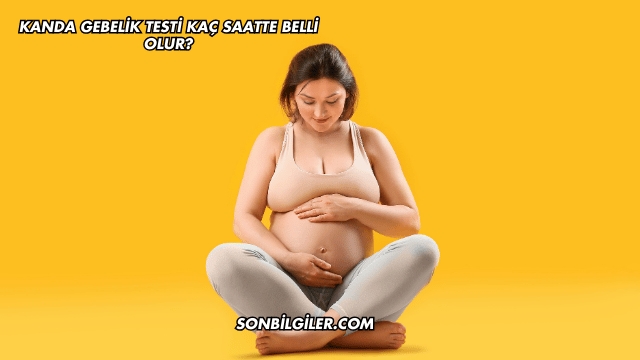 Kanda Gebelik Testi Kaç Saatte Belli Olur?
