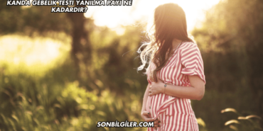 Kanda Gebelik Testi Yanılma Payı Ne Kadardır?