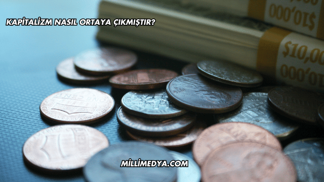 Kapitalizm Nasıl Ortaya Çıkmıştır?