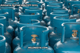 LPG Ruhsata İşletme Maliyeti 2025