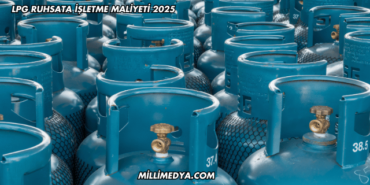 LPG Ruhsata İşletme Maliyeti 2025