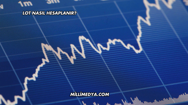 Lot Nasıl Hesaplanır?