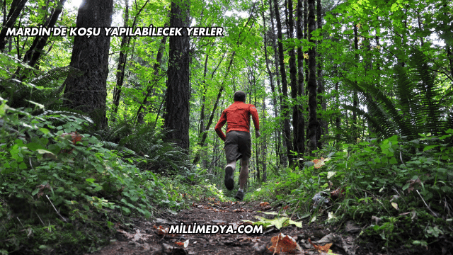 Mardin'de Koşu Yapılabilecek Yerler