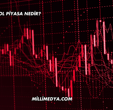 Monopol Piyasa Nedir?