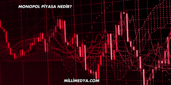 Monopol Piyasa Nedir?