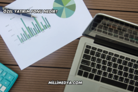 Özel Yatırım Fonu Nedir?