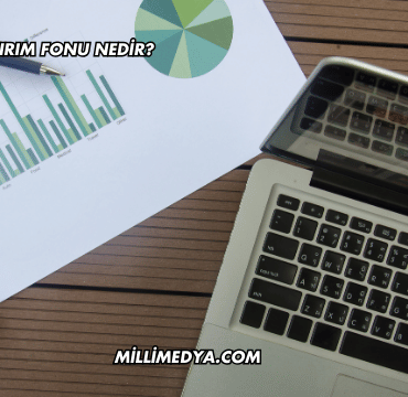 Özel Yatırım Fonu Nedir?