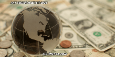 Pay Senedi Maliyeti 2025