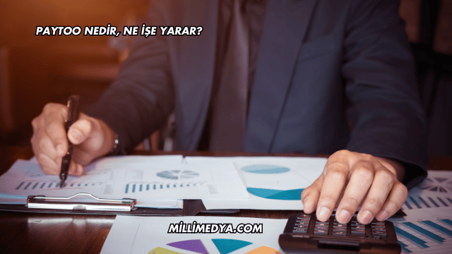 PayToo Nedir, Ne İşe Yarar?