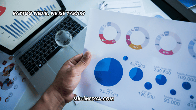 PayToo Nedir, Ne İşe Yarar?