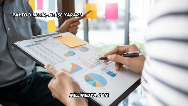 PayToo Nedir, Ne İşe Yarar?