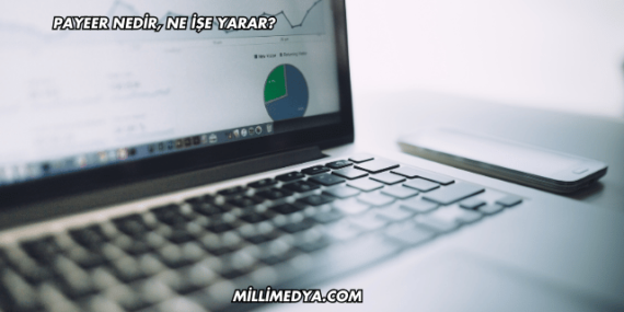 Payeer Nedir, Ne İşe Yarar?