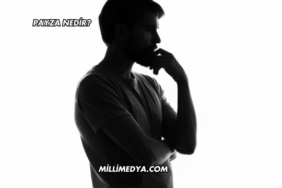 Payza Nedir?