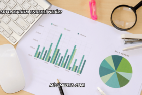 SDTTR Katılım Endeksi Nedir?
