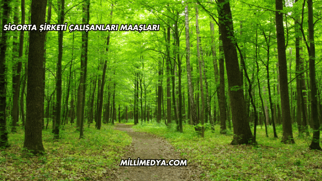 Aksaray'da Gezilecek Yerler