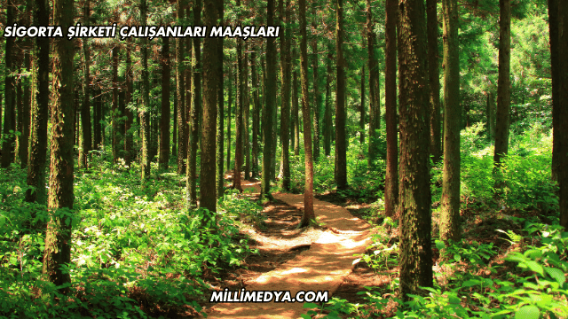 Aksaray'da Gezilecek Yerler