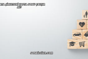 Sigorta Şirketleri Hafta Sonu Çalışır mı?