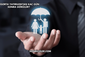 Sigorta Yatırıldıktan Kaç Gün Sonra Görülür?