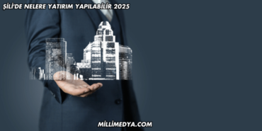 Şili'de Nelere Yatırım Yapılabilir 2025