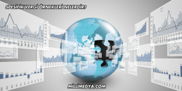 Spesifik Vergi Örnekleri Nelerdir?