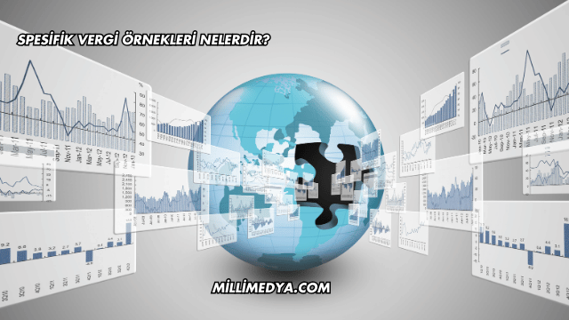 Spesifik Vergi Örnekleri Nelerdir?